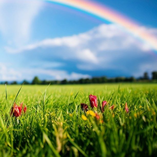Info zum Projekt - Landschaft erhalten