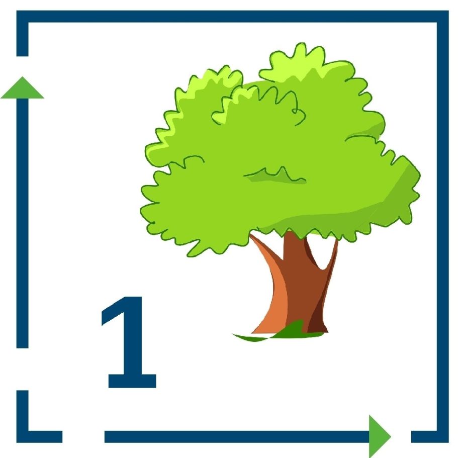 Baum Schutz Paket 1 Baum