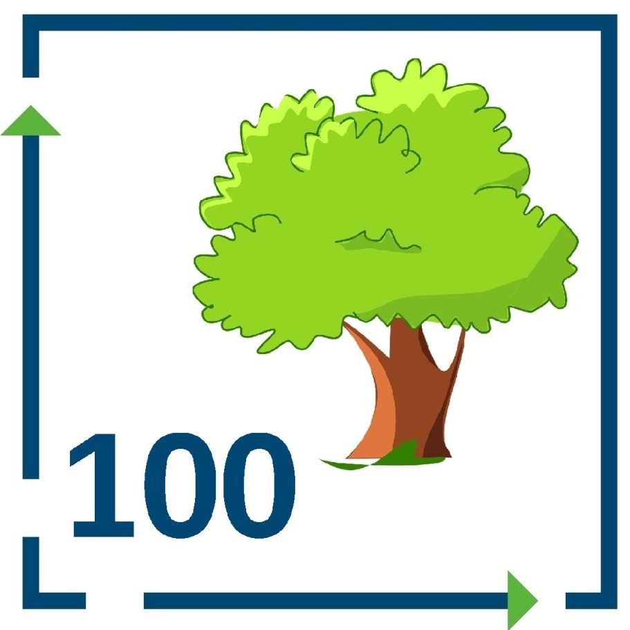 Baum Schutz Paket 100